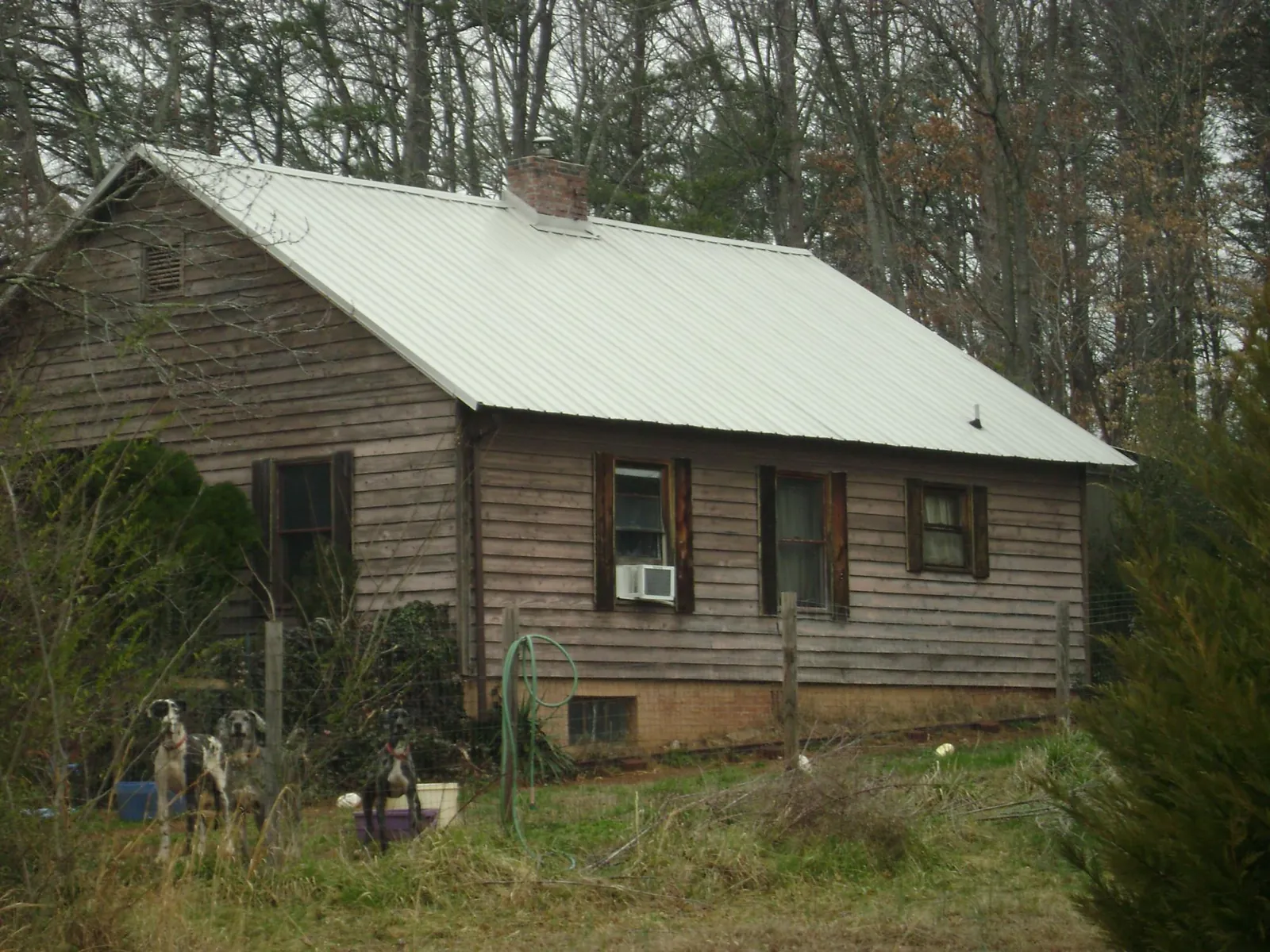 White metal roof on an old wood sided farmhouse, from a Asphalt Shingle Roof Repair job in Denver
